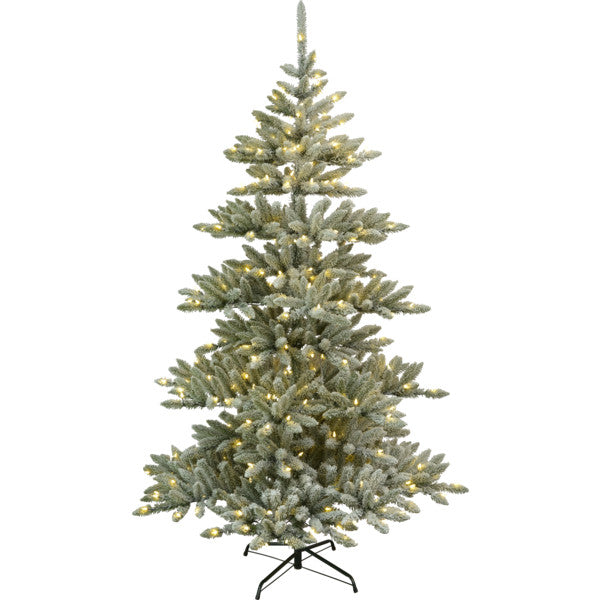 JULGRAN MED LED ARVIKA 210cm