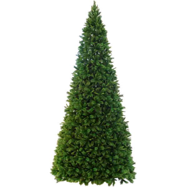 Julgran Colorado 500cm