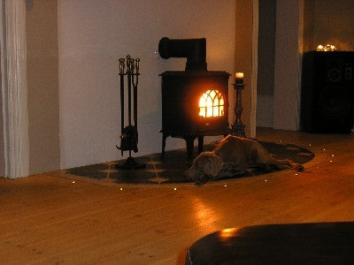DOT-Light 12 Volt