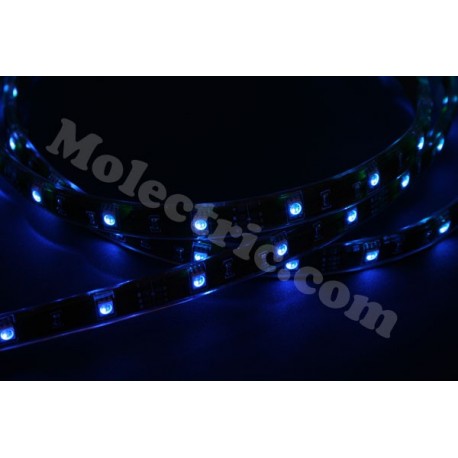 1m Blå LED-Tejp 4,8w/m 12V