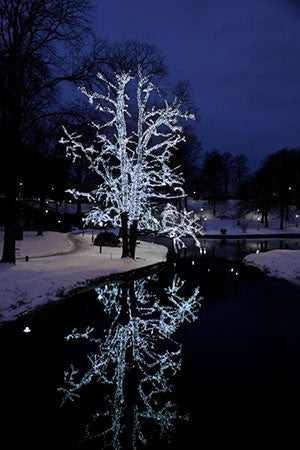 Serie LED Vit ljusslinga 40 ljus