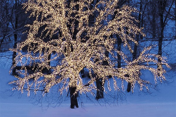 Serie LED Vit ljusslinga 40 ljus