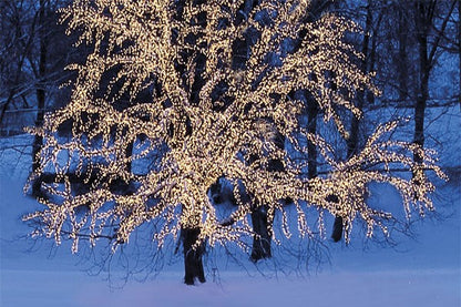 Serie LED Vit ljusslinga 40 ljus