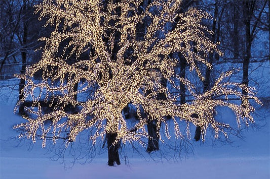 Serie LED Vit ljusslinga 40 ljus